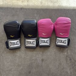 Everlast Boxing Gloves