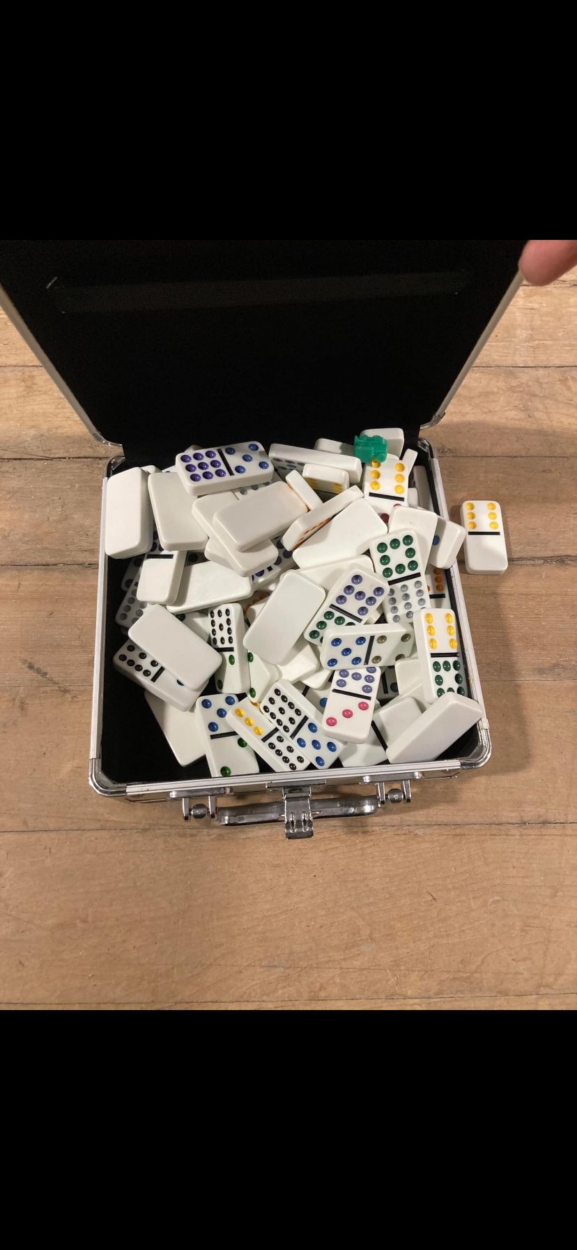 Dominos With Case