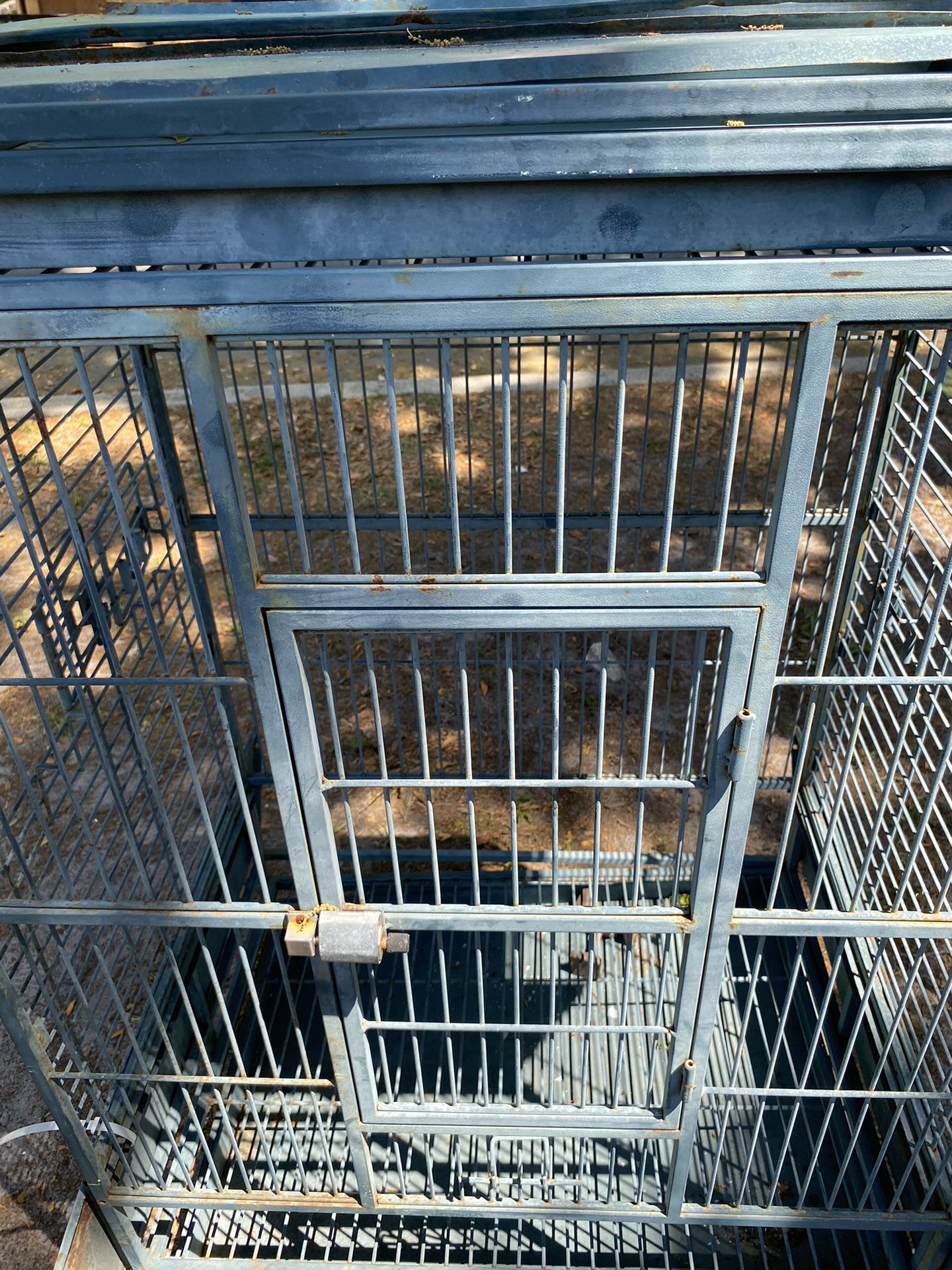 Big bird pariot or bird metal cage $65 Located Mount Dora Fl 32757