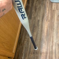 Baseball Bat 