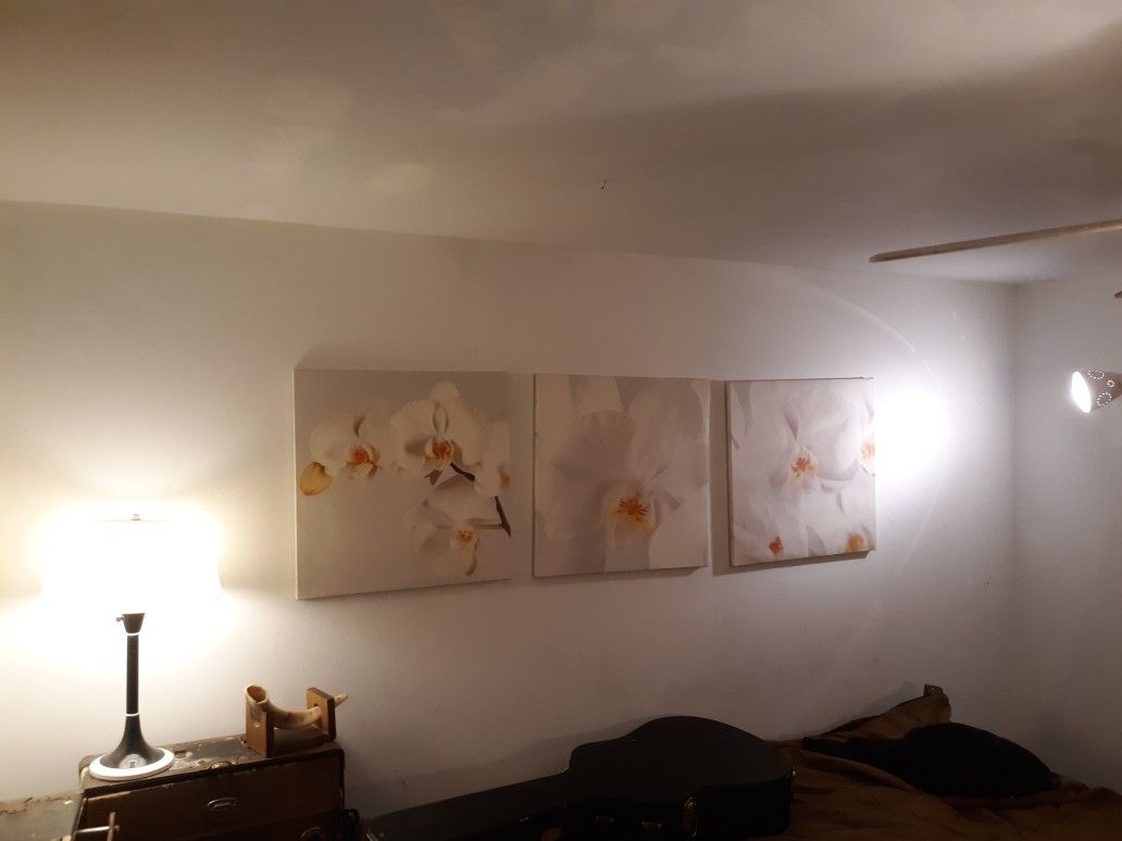 Orchid Triptic Canvas Art Wall Hanging Photographic Printd