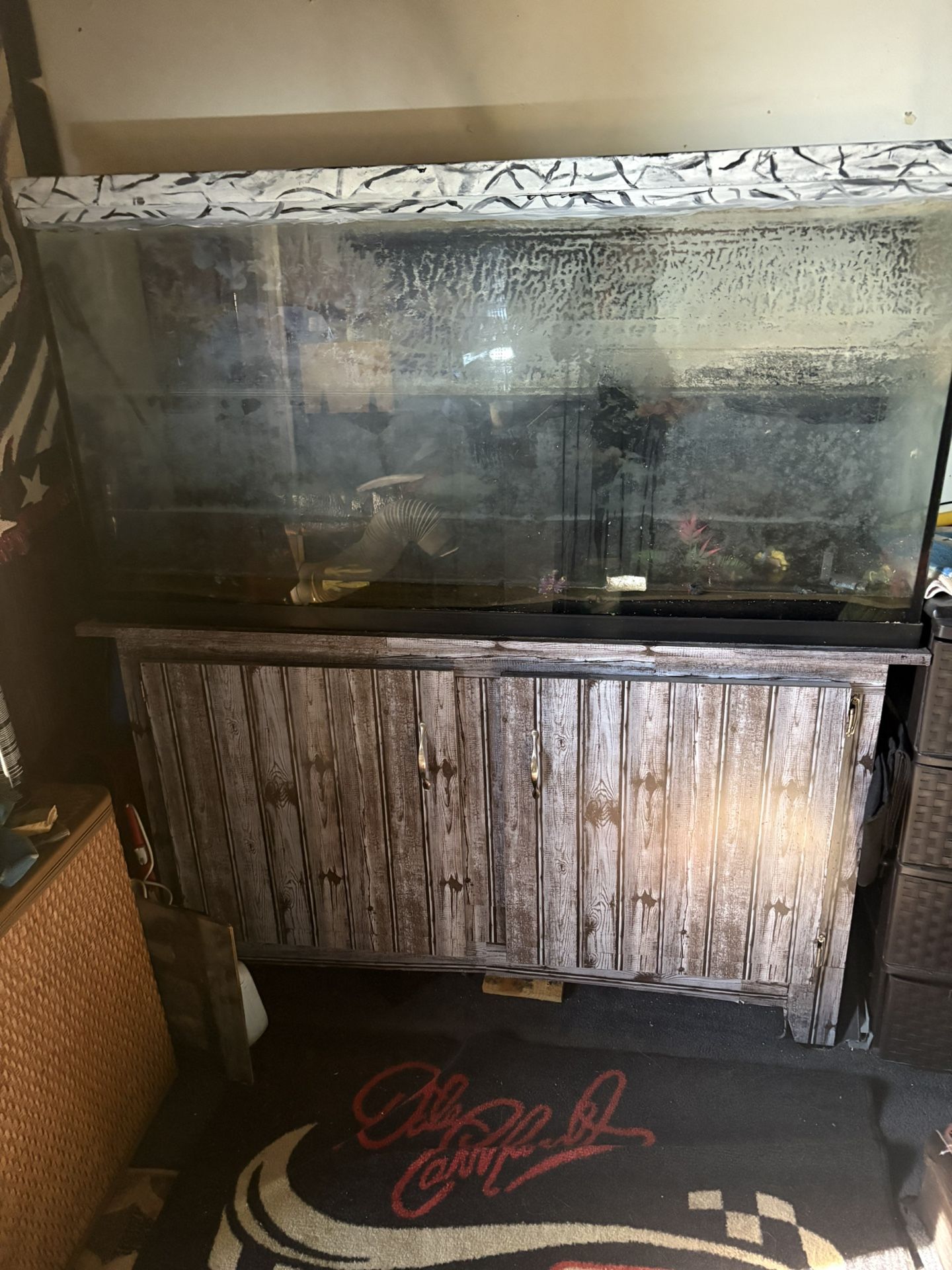 Used  fish tank