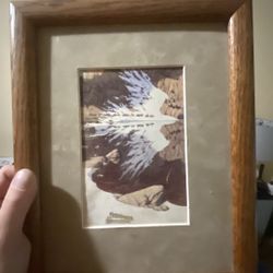 Bev Dolittle Painting