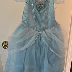 Cinderella Costume