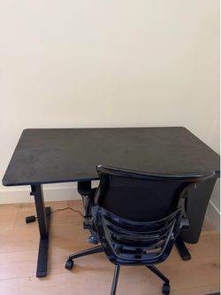 Chair and Height adjustable desk staples set