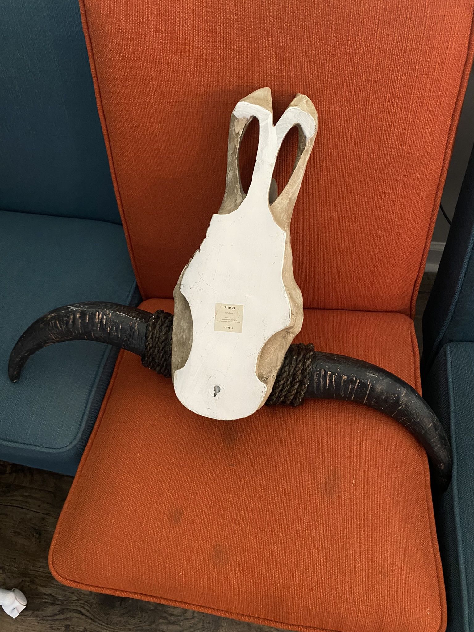 Skull And Horn 