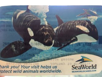 Seaworld front of the line ticket