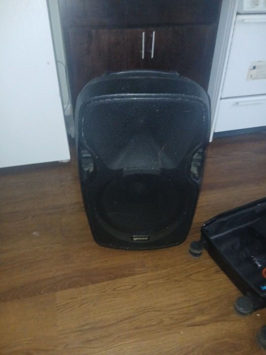 15 Inch Top Speaker  