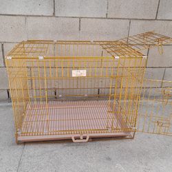 Golden Dog Crate 