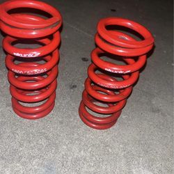 Skunk 2 coil over springs