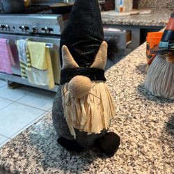 Gnome Cat In A Costume