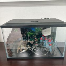 Fish Tank