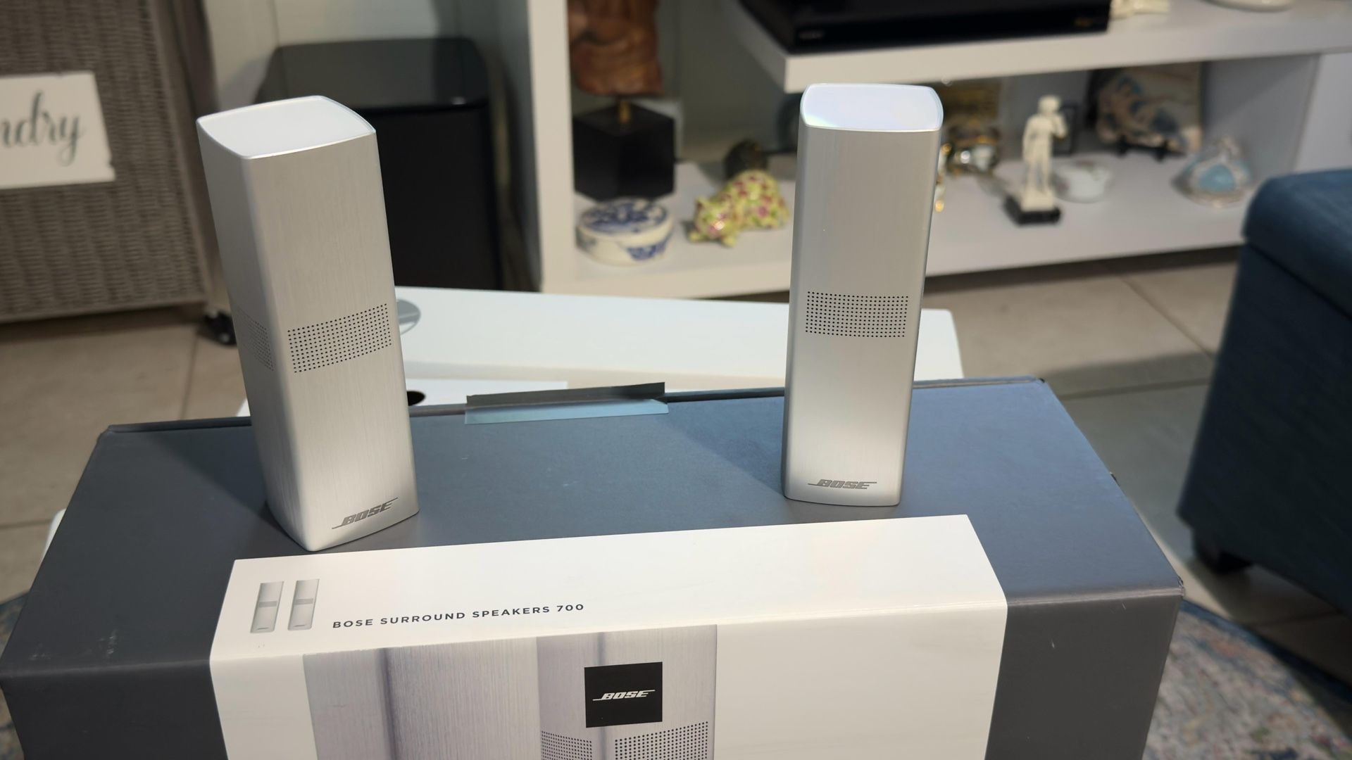Bose Surround Sound Speakers