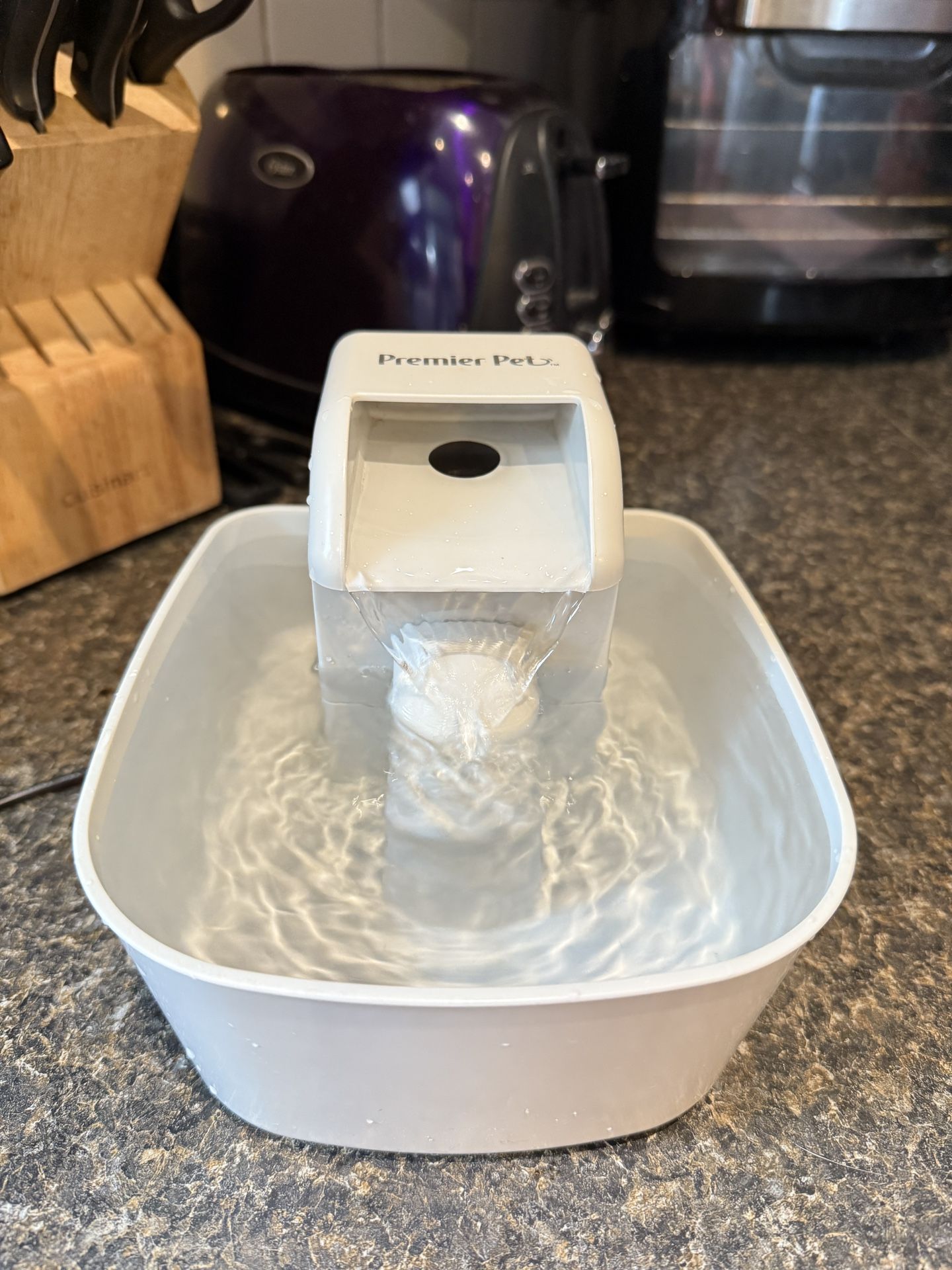 Cat Water Fountain