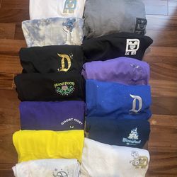 Disney Spirit Jersey