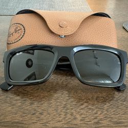 Ray-Ban Warren Sunglasses (RB 4396)