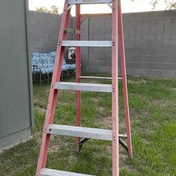 Werner 6ft Ladder 