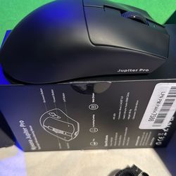 Gaming Mouse