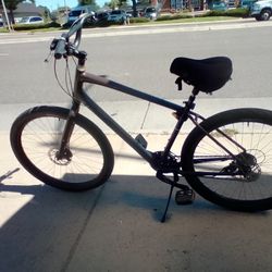 29 Inch Specialized Custom