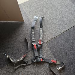 Rzr sub zero seat belts