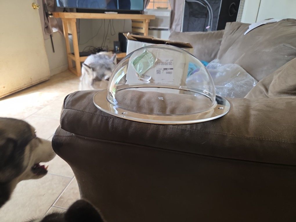 Doggie Window