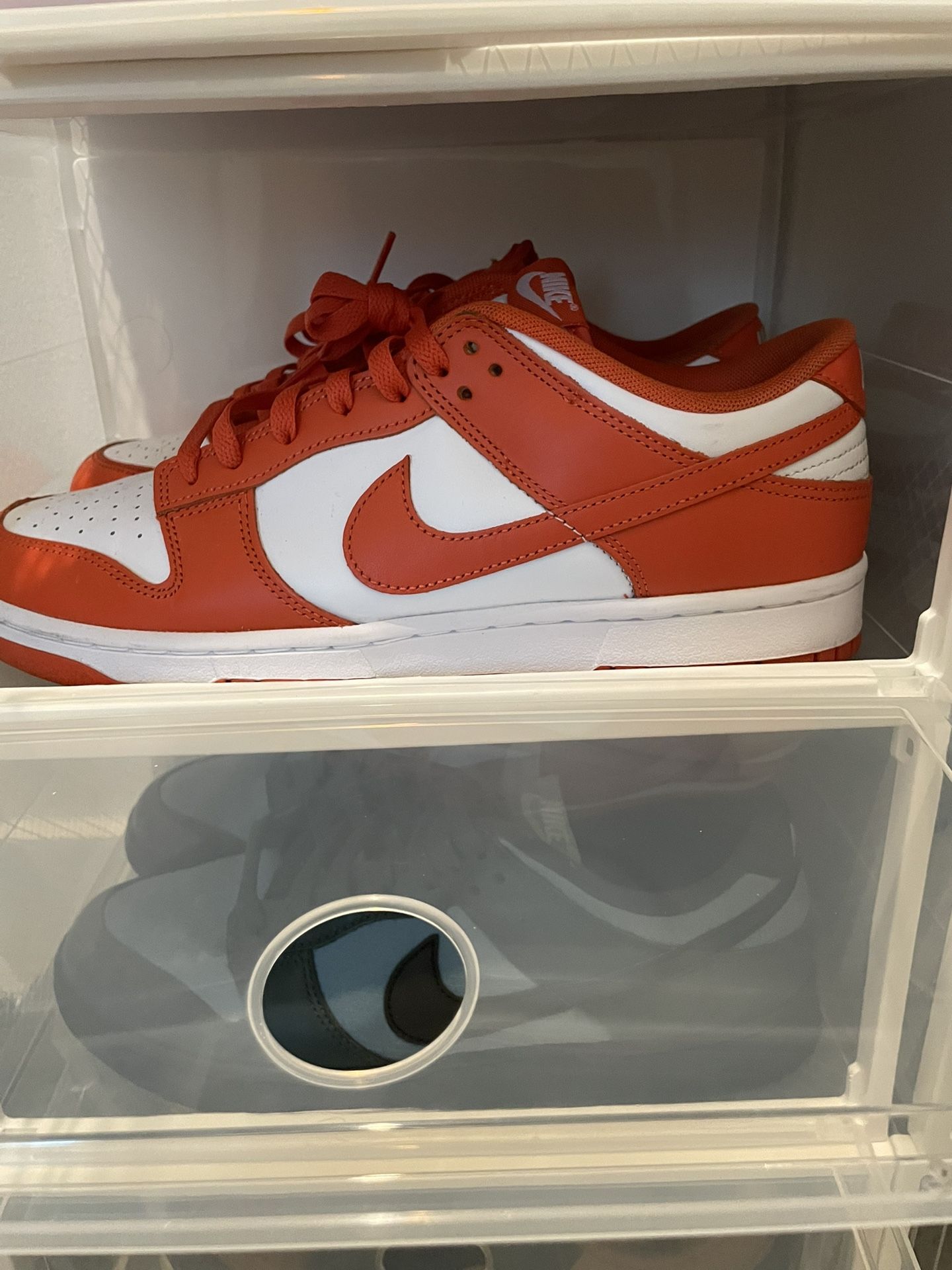 Nike Dunk Size 12