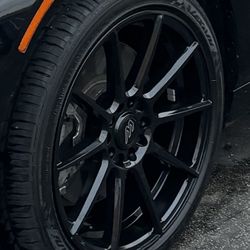 Wheel And Brake Caliper Paint 