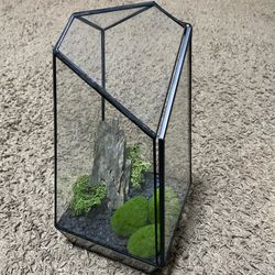 Terrarium