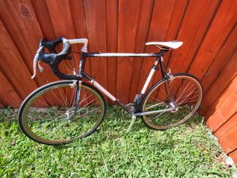 PINARELLO GAVIA
