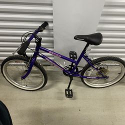  20’ Mini Mountain Kid Size Bike !!!!