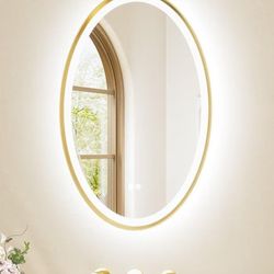 Gold Oval Led Mirror with Lights 20" x 28" Metal Framed Oval Lighted Bathroom Vanity Mirror Wall Mounted