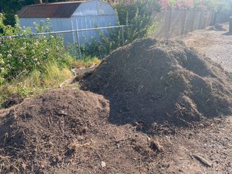 Dirt