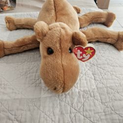 TY Beanie Babies Humphrey The Camel 