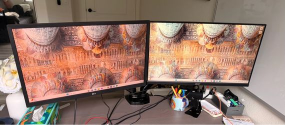 Two 24" monitors + dual monitor desk mount set