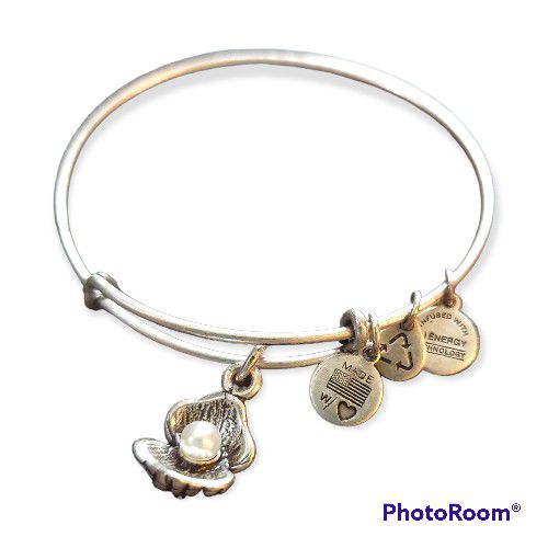 Alex and Ani silver plated oyster charm bangle bracelet