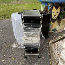 Rolling Storage Cabinet 
