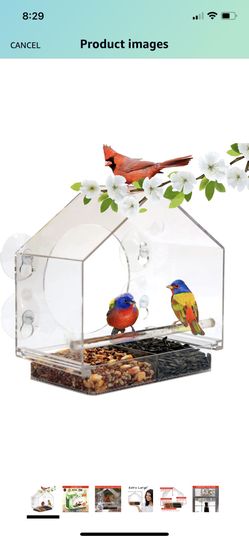 Bird feeder