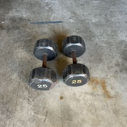 25 lb dumbbells 