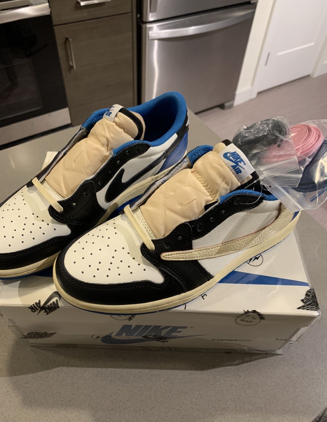 Travis Scott Jordan 1