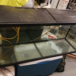 Tanque 55 galones no inclulle filtro