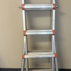 Little Giant Ladder 