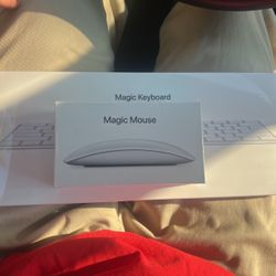 Magic Keyboard and Mouse 