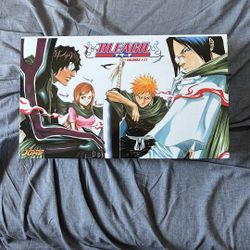 Bleach Manga