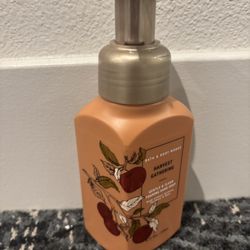 Bath & Body Works Hand Soap