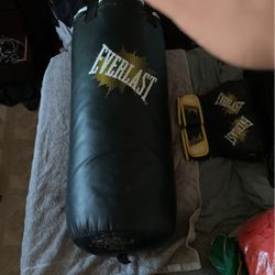 Punching Bag With Pair Of Gloves