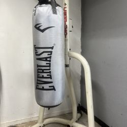 Everlast Punch Bag 70lb + Century Boxing Stand