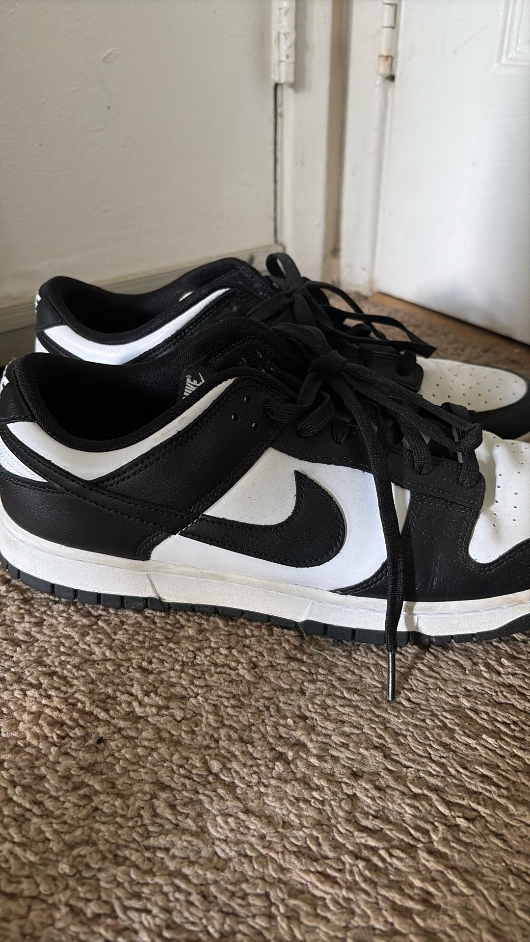 Nike Dunks Size 13