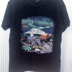 2002 Alaska Harley size Large 