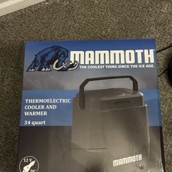 Mammoth Electric Cooler And Warmer