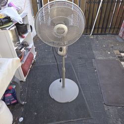 Fan